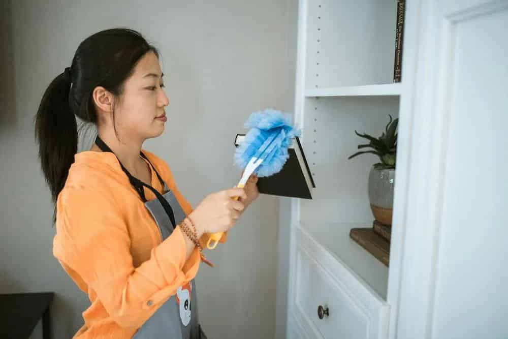 Recurring Maid Services image